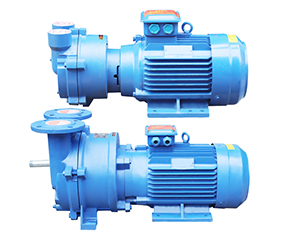 2BV水環真空(kong)泵 直連式防(fang)爆真空泵